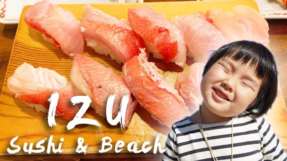 南伊豆 稲取 金目鯛 寿司 下田 入田浜 民泊｜Insta360 ONE R travel vlog｜