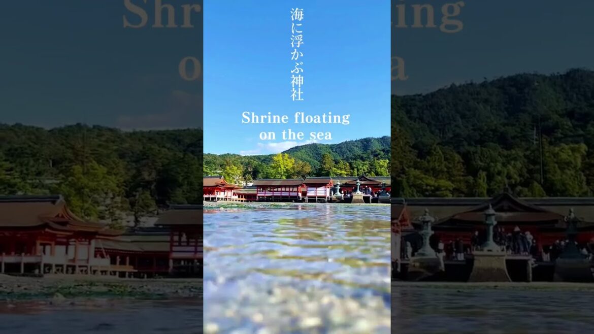 宮島⛩ 干潮時、小川のように海へ流れていく水と大鳥居の景色。#shorts #宮島 #厳島神社