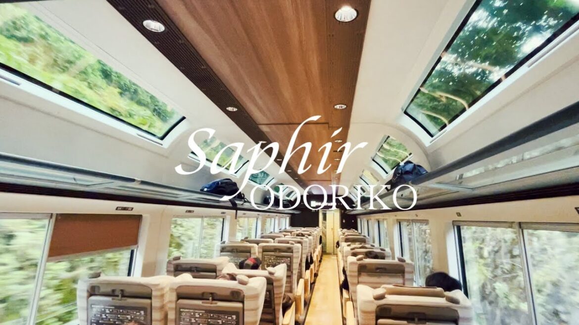 最高傑作の電車サフィール踊り子ひとり旅！上質で贅沢な時間を過ごしてきました！