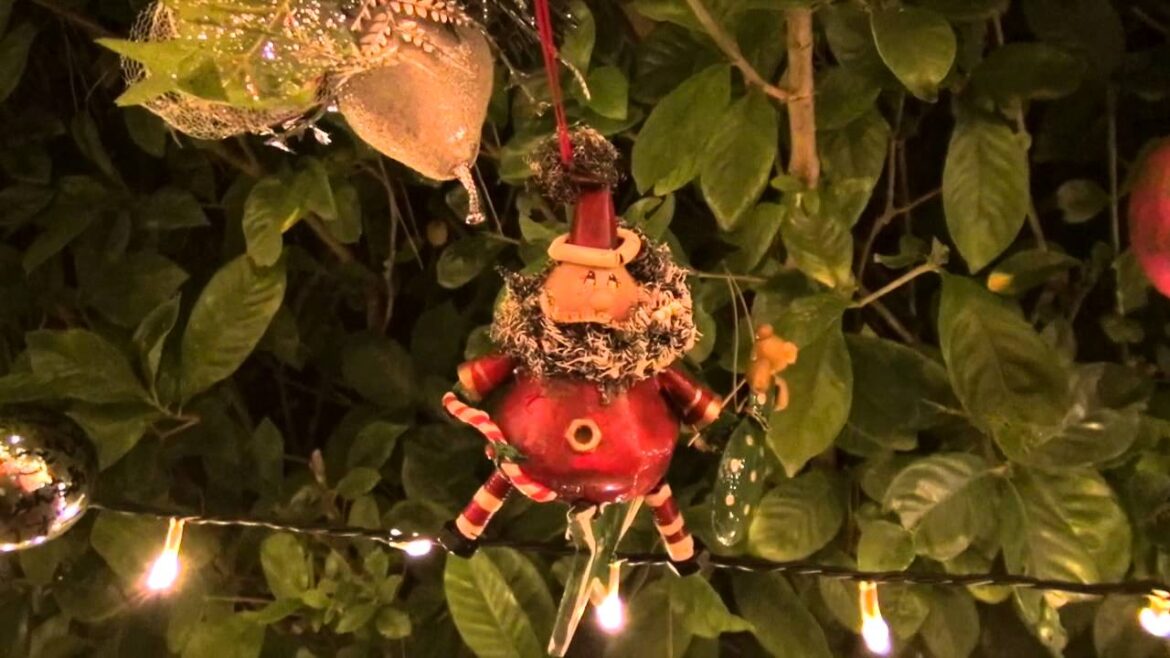 Flower Park Kagoshima