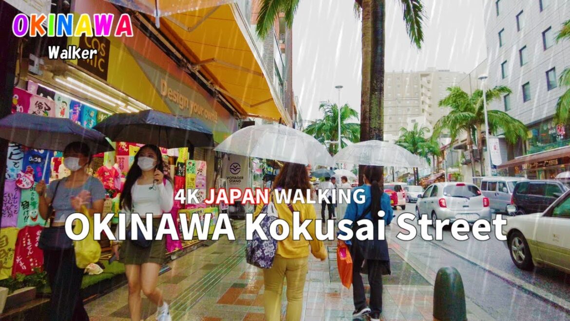 【雨 ASMR】沖縄の雨の日ってどんな感じ？雨の音を聴きながら国際通りをバーチャルお散歩！2022.11 [4K] Okinawa Naha Kokusai Street rain Walk