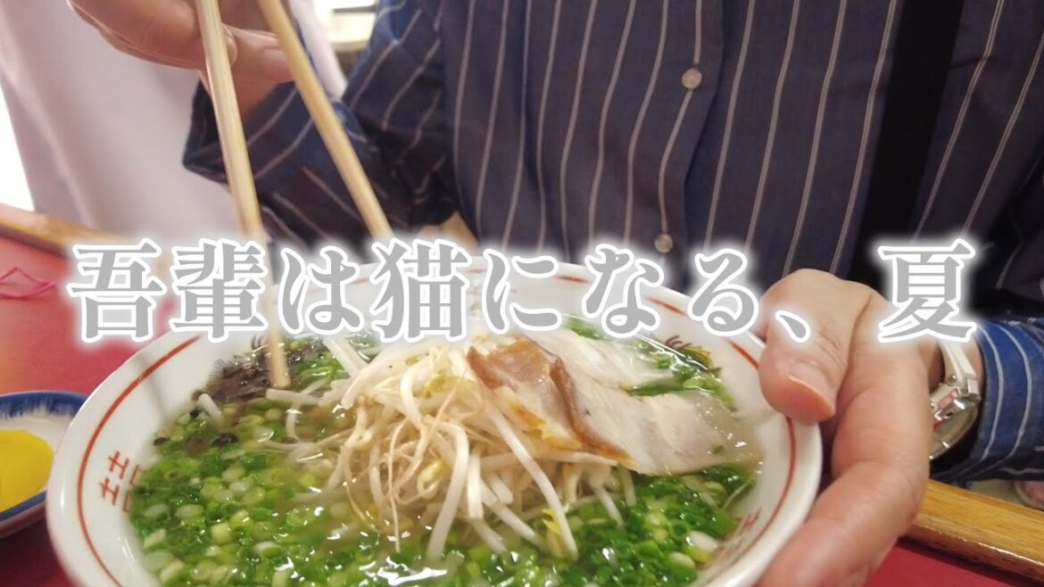 【vlog】素早さスキルが必須な鹿児島ラーメンを食べた日🍜|九月灯|ゆるい日常|アラフィフライフ|【グルメ】【天文館】 【vlog】素早さスキルが必須な鹿児島ラーメンを食べた日🍜|九月灯|ゆるい日常|アラフィフライフ|【グルメ】【天文館】