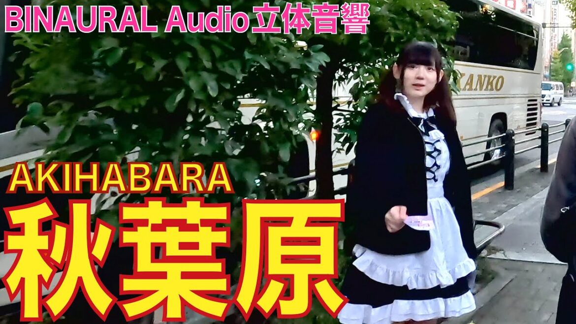 【4K/立体音響】秋葉原 電気街 20221121 akihabara tokyo walk