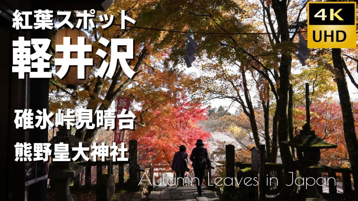 軽井沢 紅葉 2022 『碓氷峠見晴台』 『熊野皇大神社』