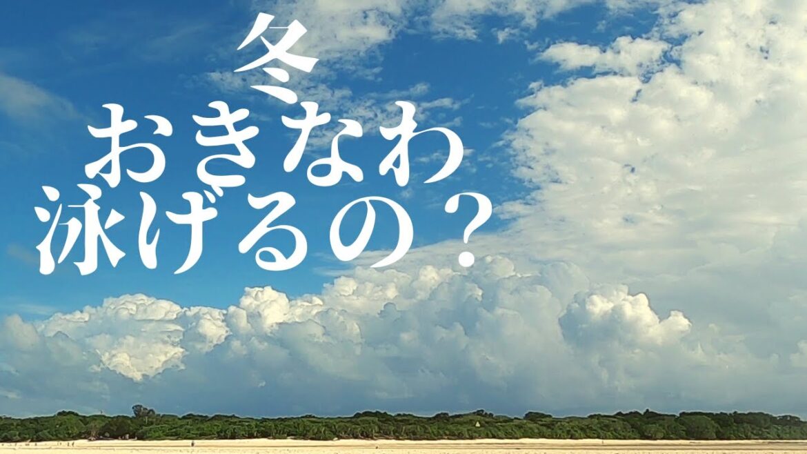 冬の沖縄で泳げるの? 第373話 冬の沖縄で泳げるの? 第373話