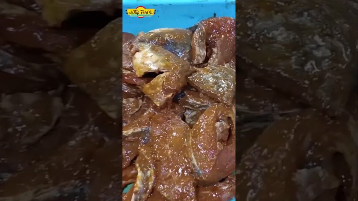 Delicious Fish Fry at Hyderabad Street Food | Indian Street Food | Trip Feed