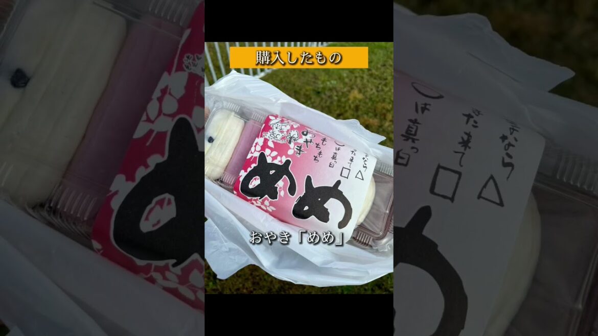 ๐ๅๆตท้ใฎ้ญ
ๅใ้็ตใใซใใใๅธๅ ดใใฃใฝใ2022ใใงไบบๆฐๅบใใใใใฎใใใ๏ผใใใญใใฏใใ่ณผๅ
ฅ #shorts ๐ๅๆตท้ใฎ้ญ
ๅใ้็ตใใซใใใๅธๅ ดใใฃใฝใ2022ใใงไบบๆฐๅบใใใใใฎใใใ๏ผใใใญใใฏใใ่ณผๅ
ฅ #shorts