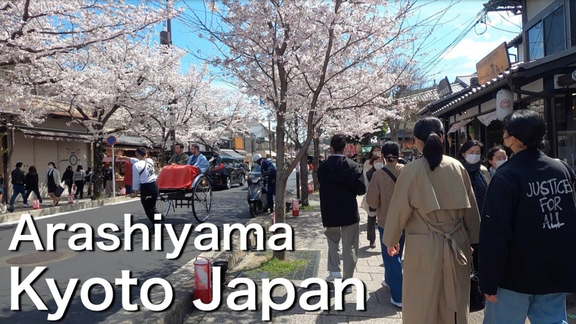 Arashiyama Kyoto Japan | Travel and walk Arashiyama Kyoto Japan | Travel and walk