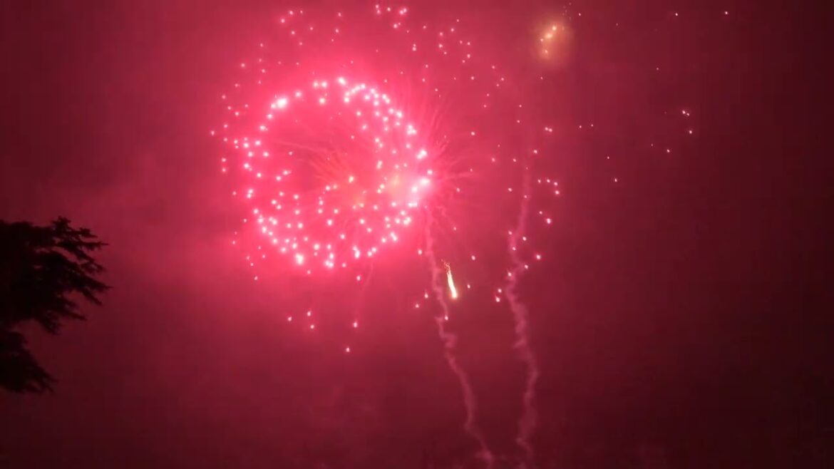 Watford Fireworks 5th November 2022