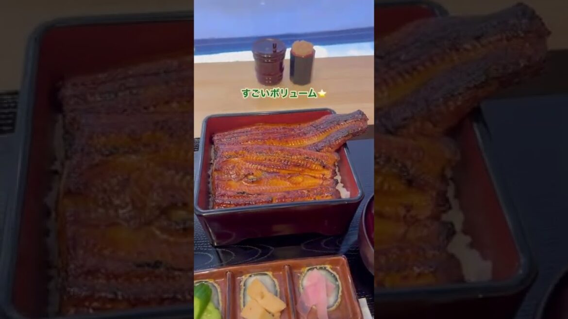 【横浜グルメ】鰻の成瀬(うな重食べたよ) / Yokohama Eel Restaurant vlog #shorts