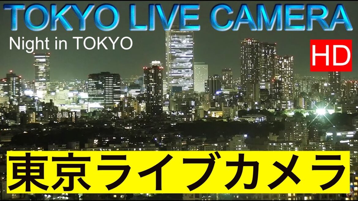 星空！！TOKYO LIVE CAMERA, night view. The world's No. 1 city to live in.,東京ライブカメラ、Meteors shower