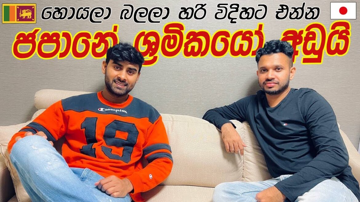 කාපු කට්ටේ වටිනාකම දැන් තියනවා | Ryoko 47