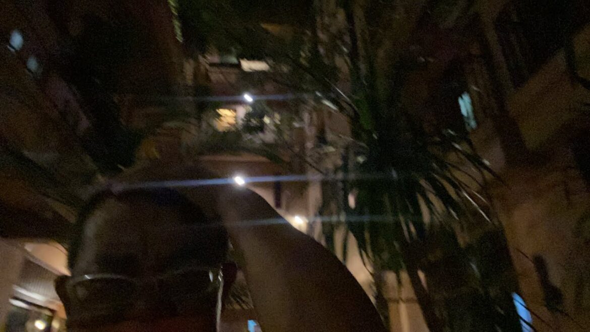 【🇹🇭生LIVE配信】ぷらぷらっと夜バンコク！今夜はソンブーン本店予約&川沿いレストラン予約&カオサン通り周辺の屋台調査などなど！2022年11月28日月曜日