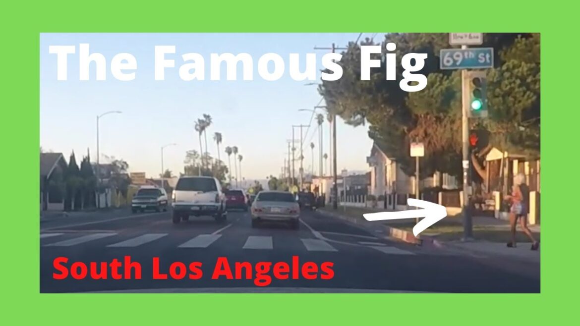 Driving along Figueroa Street,  South Los Angeles   POV Day TIme