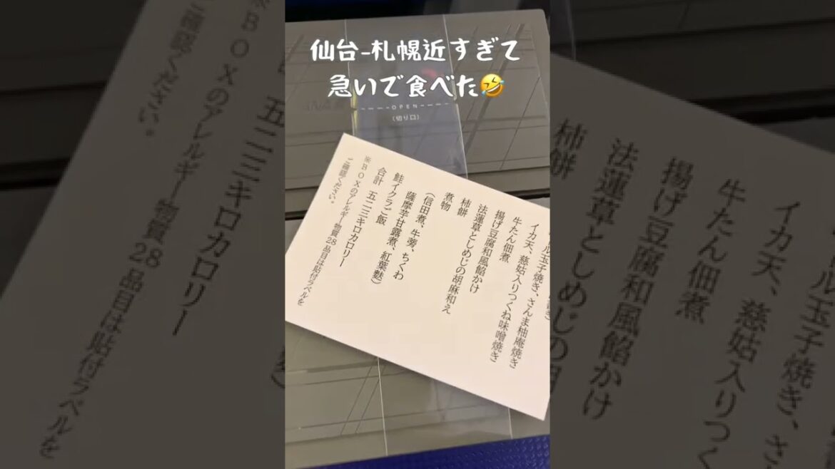 【2022年11月】北海道 小樽旅 仙台空港-新千歳空港✈️約1時間のフライトは慌しかった😂💦