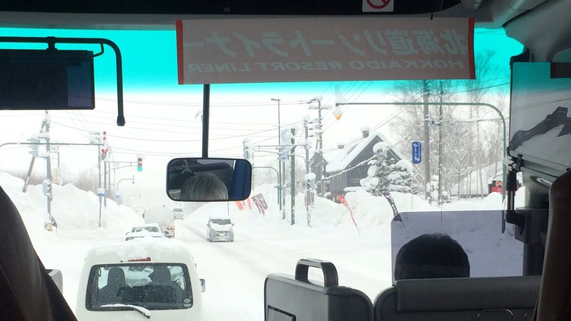 Niseko to Sapporo Hokkaido Resort Liner