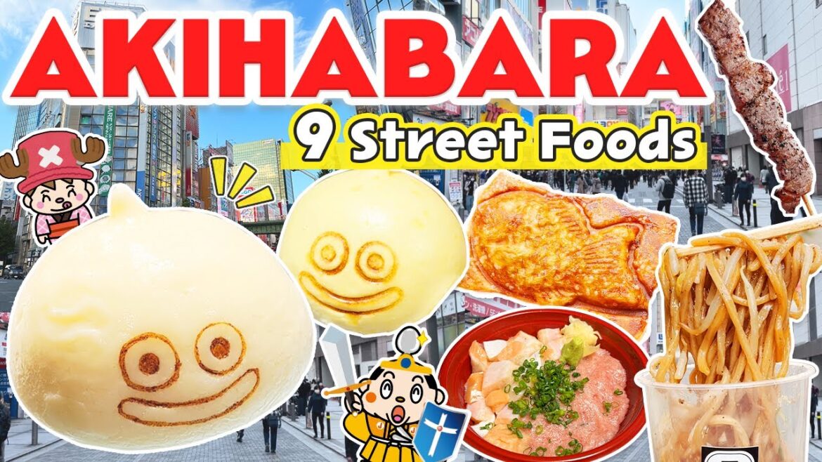 Akihabara Tokyo Street Food Tour / Japan Travel Vlog