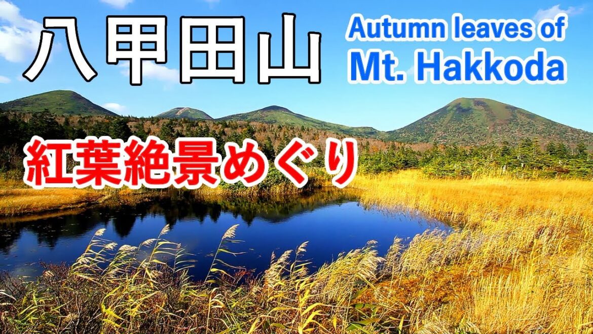 青森県 八甲田山の紅葉絶景めぐり ( 城ヶ倉大橋 / 地獄沼 / 睡蓮沼 ） / Autumn leaves of Mt. Hakkoda ( Aomori, Japan )【日本の紅葉絶景！】