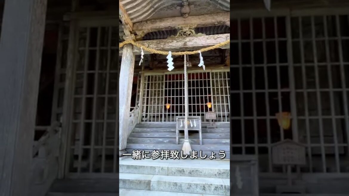 この映像が現れたら奇跡【玉置神社遠隔参拝】神様に呼ばれました✨ この映像が現れたら奇跡【玉置神社遠隔参拝】神様に呼ばれました✨