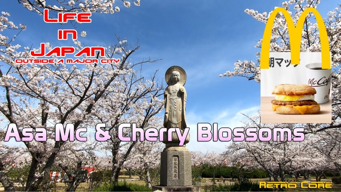 McDonald's breakfast and cherry blossoms - Life in Japan - 4K