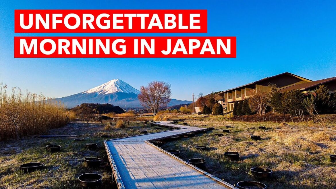 Unforgettable Morning in Japan - Mt. Fuji - Walking Tour 4K