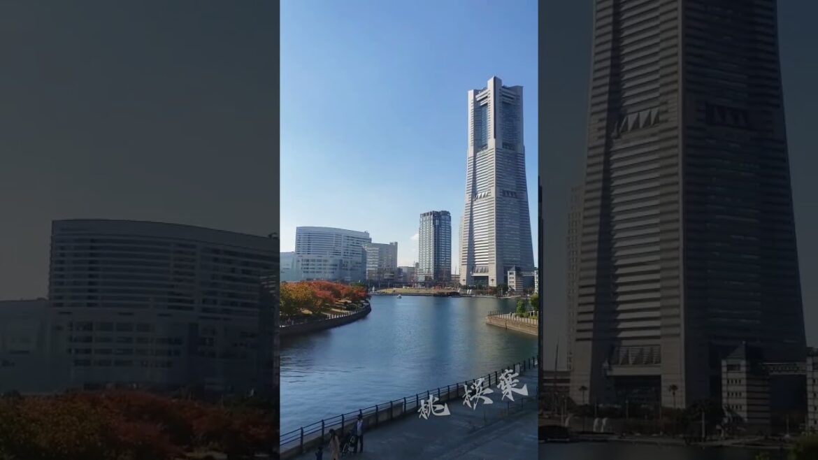 Осень на Минатомирае 🤗/Autumn in Minatomirai Осень на Минатомирае 🤗/Autumn in Minatomirai