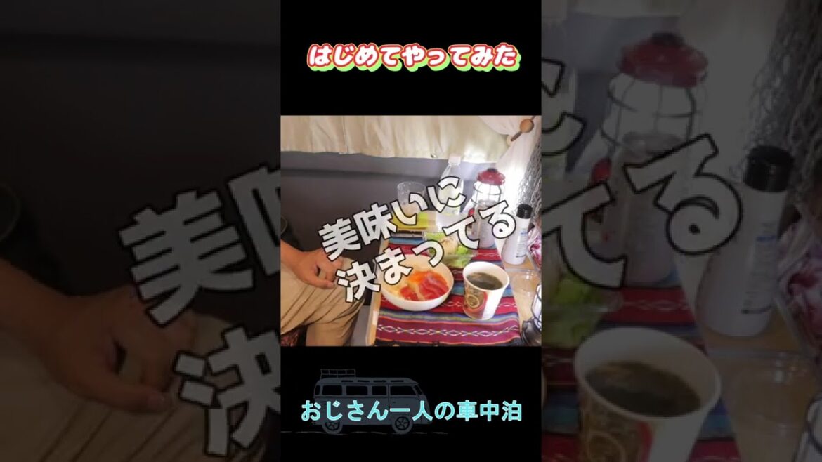 はじめてやってみた！おじさん一人の車中泊 #nv200 #キャンピングカー #車中泊