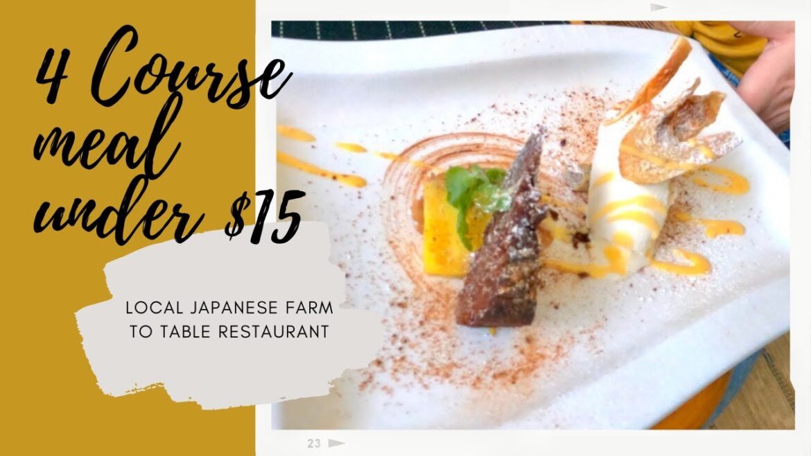 Best 4 Course Meal UNDER $15 In Okinawa