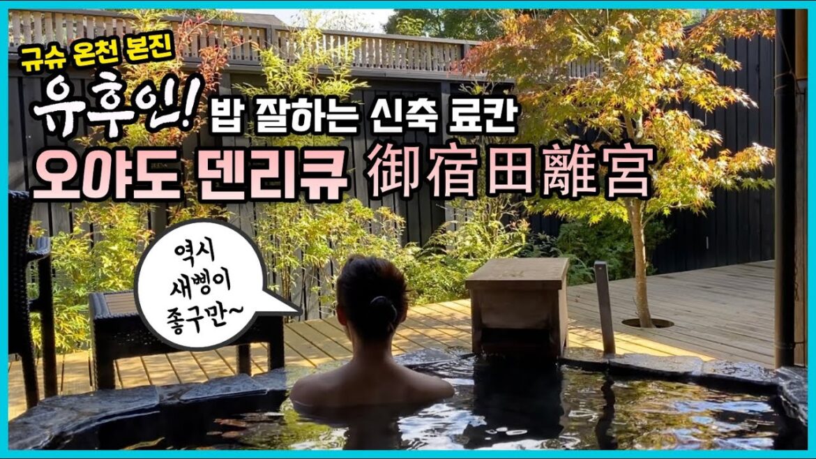 유후인 고급 료칸 오야도 덴리큐(御宿 田 離宮) - 훌륭한 객실, 객실 전용 노천, 맛있는 식사와 와인