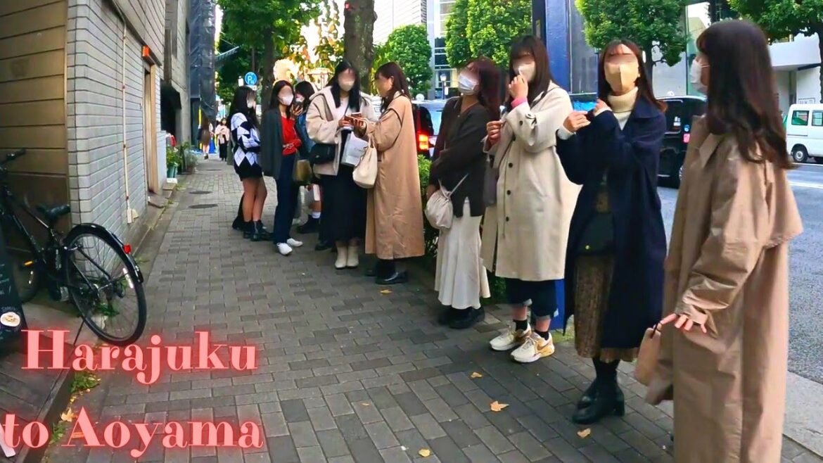 Harajuku to Aoyama Tokyo, in Japan walking tour.【4K】11.2022