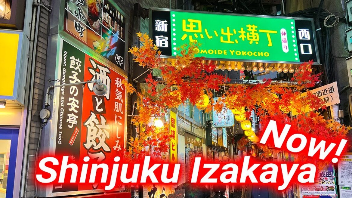 【Shinjuku Memories Yokocho】Memories Yokocho at night, near Tokyo's busiest downtown area. 【Shinjuku Memories Yokocho】Memories Yokocho at night, near Tokyo's busiest downtown area.