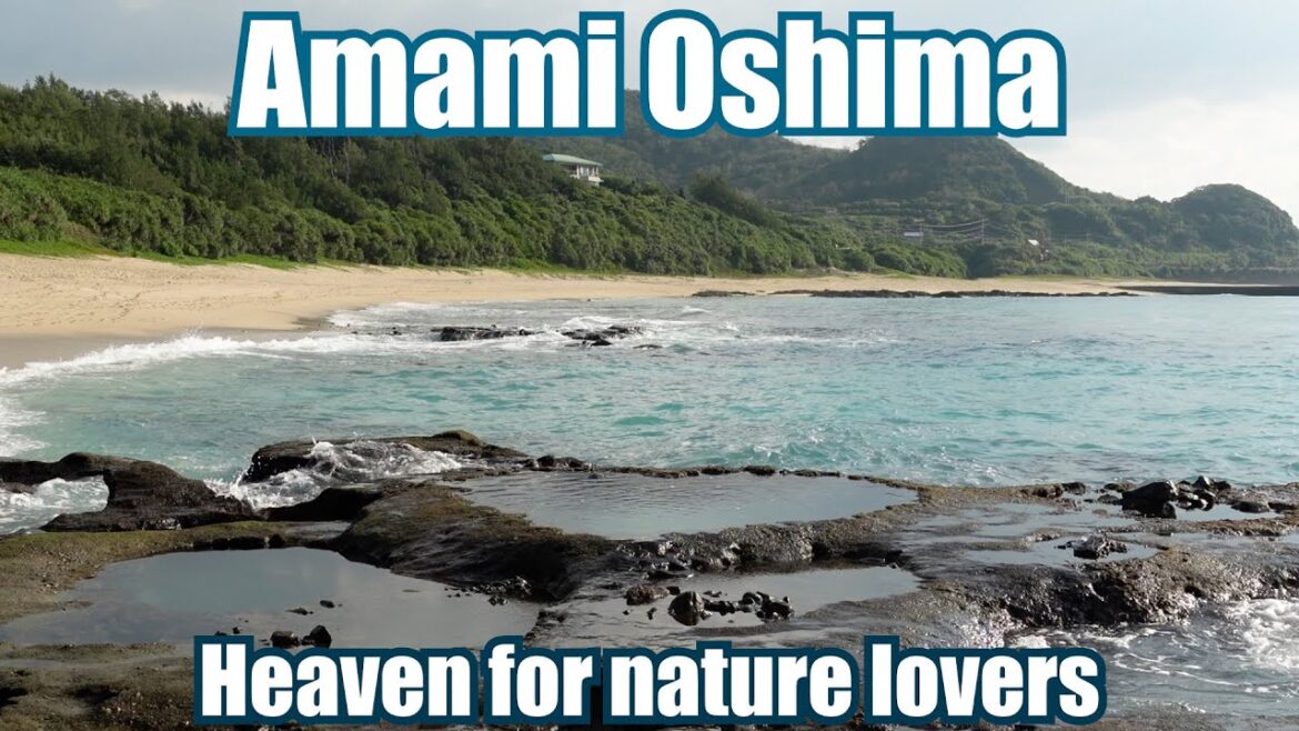 The Japan's most unique remote subtropical island, Amami Oshima island, Akaogi, Tatsugo town 龍郷町 The Japan's most unique remote subtropical island, Amami Oshima island, Akaogi, Tatsugo town 龍郷町