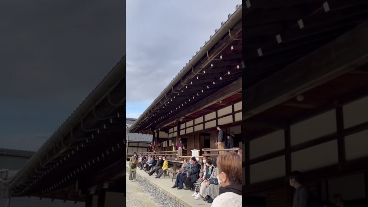 #Japan trip 2022 - #SogenchiPondGarden at #Tenryuji #temple in #Kyoto #Shorts