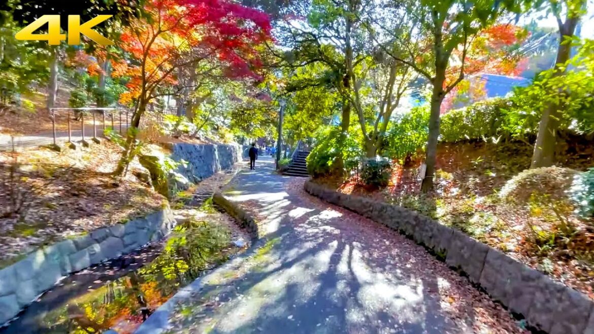 🇯🇵 Autumn in Yokohama, Japan | 2022・4K