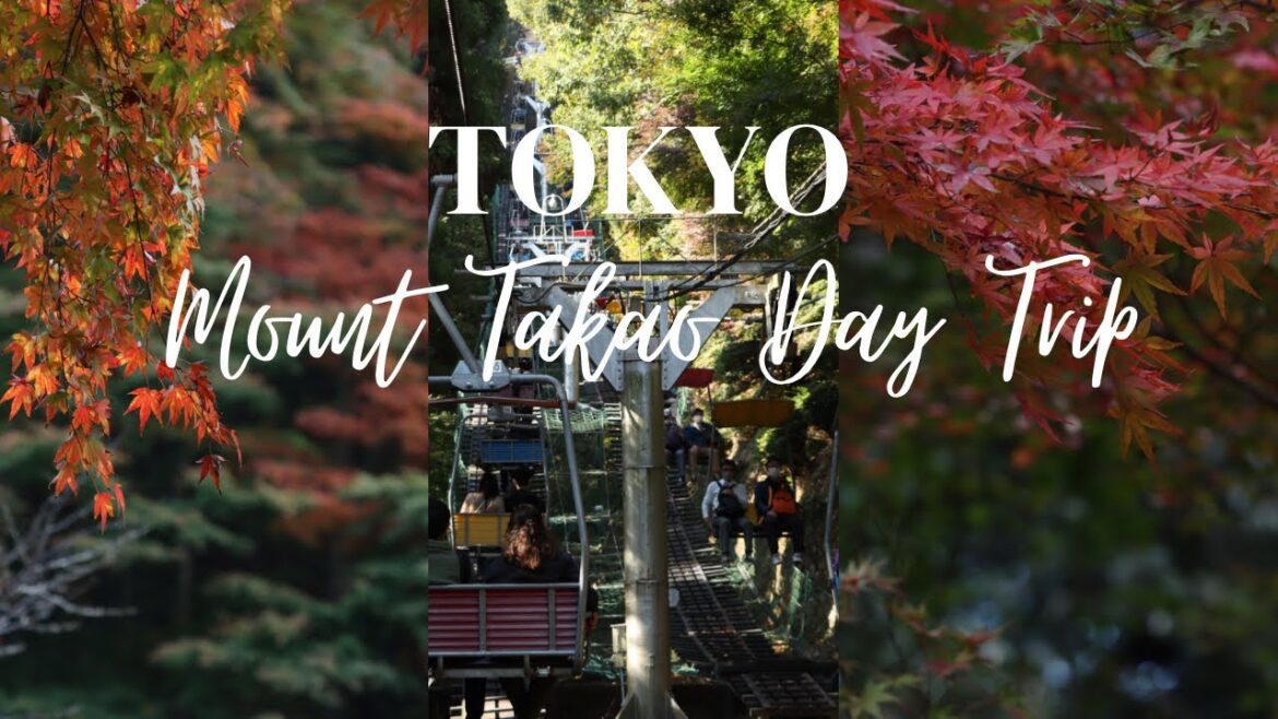 Day trip to Mount Takao | Autumn Foliage 2022🍁| Chair lift experience🚡 | Japan