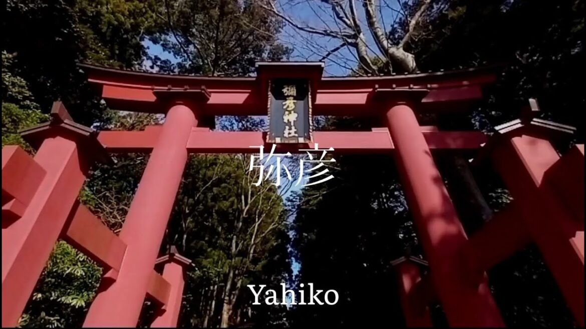 新潟県観光 テーマパークの様な 弥彦村 Niigata Tourism Theme Park-like Yahiko Village Japan 新潟県観光 テーマパークの様な 弥彦村 Niigata Tourism Theme Park-like Yahiko Village Japan