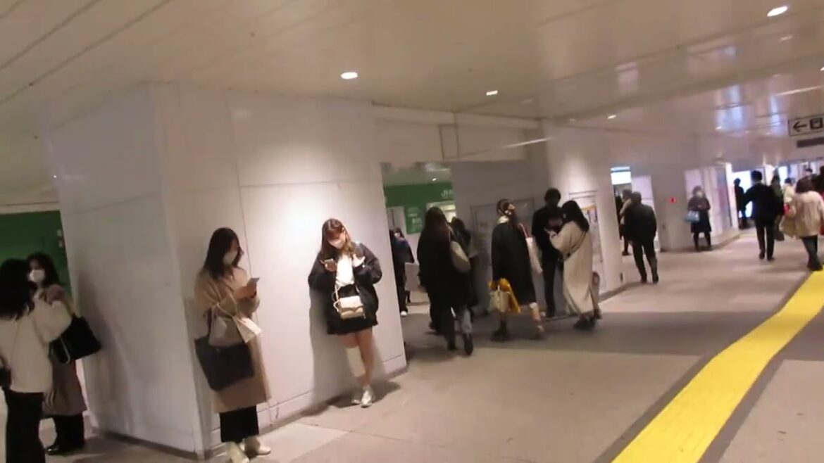 Japan video integrale 001