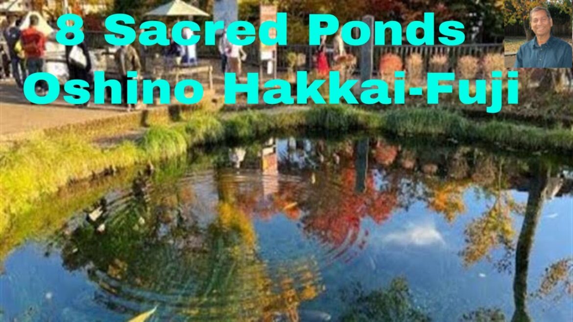 Oshino Hakkai- 8 Sacred clear spring water Ponds in the Fuji Five Lakes Region