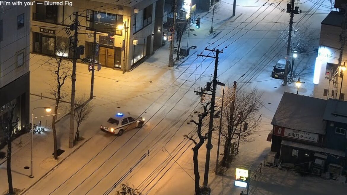 Carpet of snow at 2:00 a.m., Sapporo, Hokkaido | December 1 2022