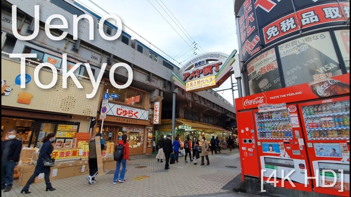 Ueno Park & Ameyoko Market, Walk in Tokyo  [4K HD]