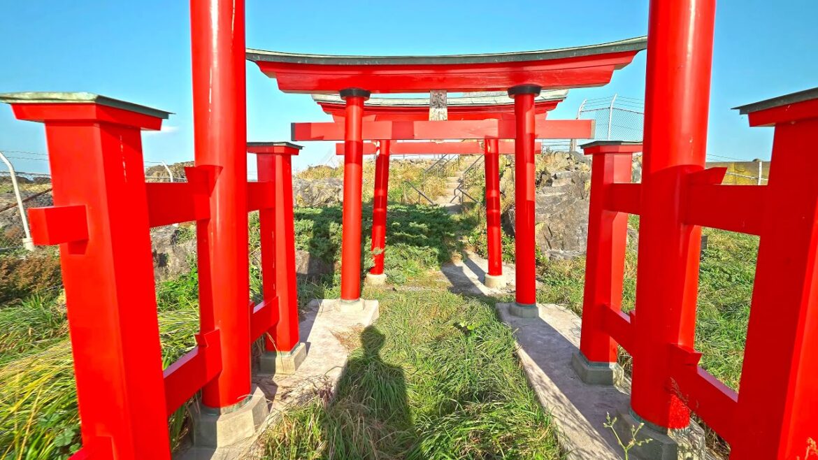 Japan - Walking and flying at rural Hachinohe Okuki・4K HDR