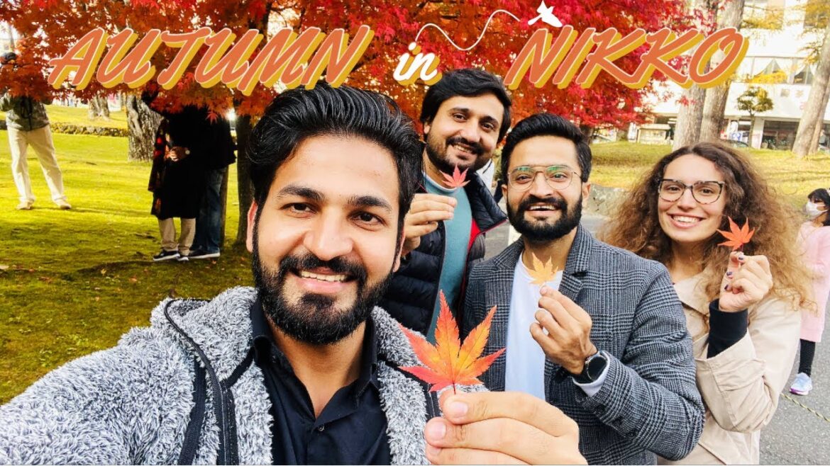 AUTUMN IN NIKKO : JAPAN'S PARADISE | 日光 | TOP 3 PLACES IN NIKKO | निक्को जापान का ऑटम ऋतू | VLOG 30