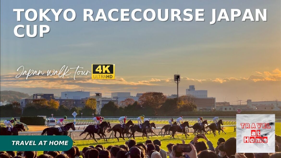 [4KHDR]Japan 4k walk 2022 | Travel at home Walk in Tokyo Racecourse | Watch Japan cup horse racing
