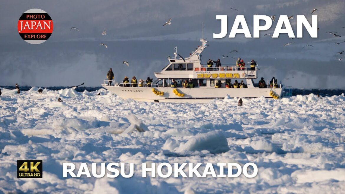 Rausu Hokkaido – Drift Ice Cruise in Hokkaido with Epic Bird Photography Rausu Hokkaido - Drift Ice Cruise in Hokkaido with Epic Bird Photography