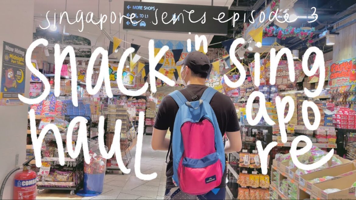 SINGAPORE SNACK HAUL | french fries and styrofoam?? SINGAPORE SNACK HAUL | french fries and styrofoam??