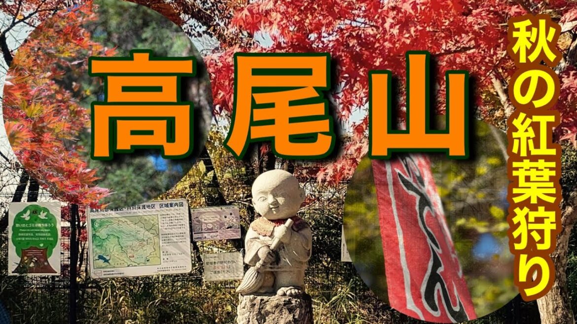【紅葉狩り】秋の高尾山を感じてきた