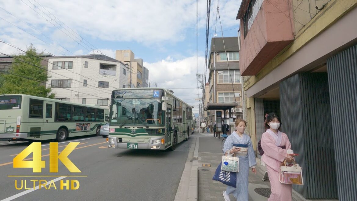 [4K 60] Kyoto looks best in autumn.　Alley in japan.  People of japan.