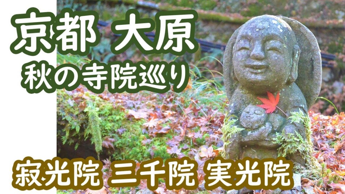 京都 大原の寂光院、三千院、実光院を巡った大人の休日 ohara kyoto|人生の楽園・長野移住ライフ|旅ログ vlog 091 京都 大原の寂光院、三千院、実光院を巡った大人の休日 ohara kyoto|人生の楽園・長野移住ライフ|旅ログ vlog 091