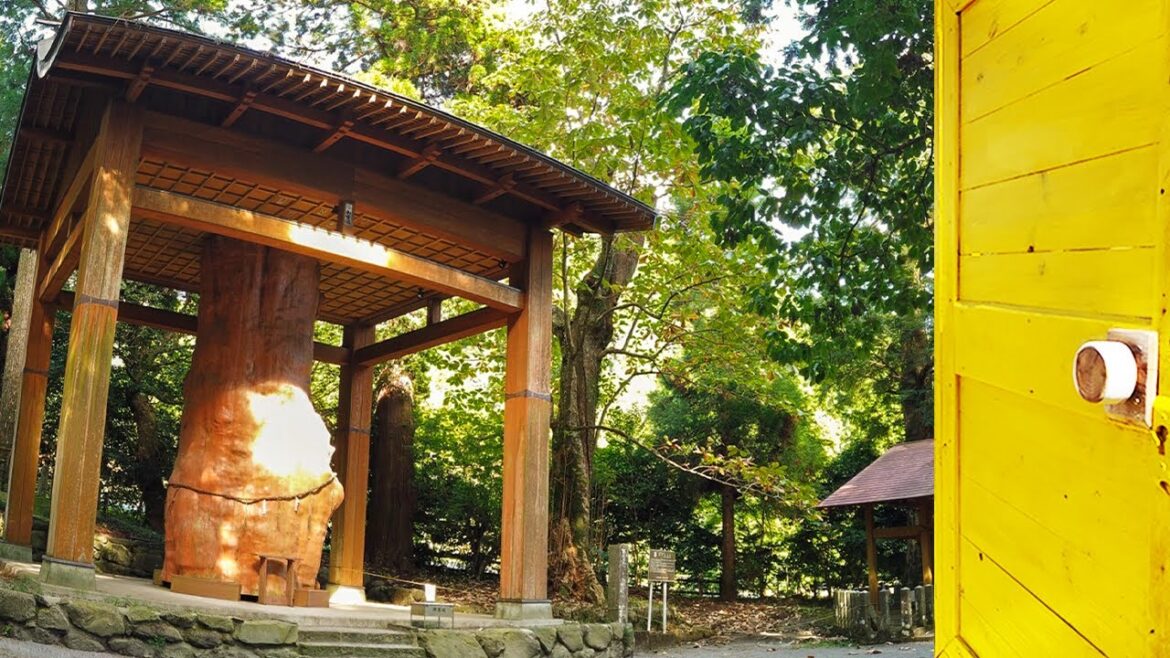 【4K Stroll】Visiting 2000-Year-Old Shrine Where People Pray for a good Harvest