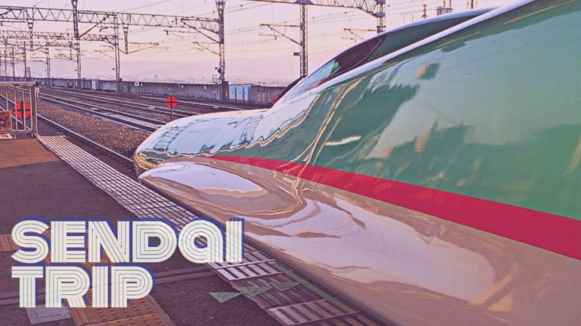 Trip to Sendai  #shinkansen #train #darkwave #forevergrey